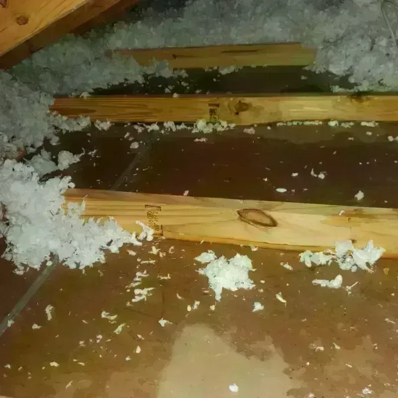 Attic Water Damage in Lathrop, CA